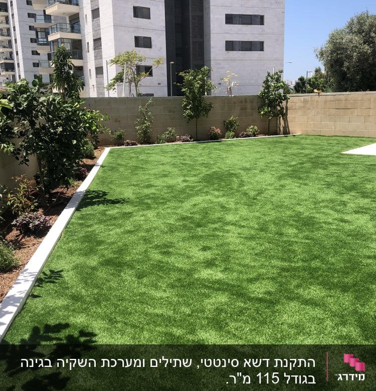 דשא ירוק מוקף עצים ושיחים בגינה